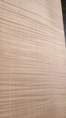 Juego de coincidencias de libros Maple Fiddleback Flame #1034 L.23&1/8" W. 14&7/8" T. 3/8" Foto 1 de 4