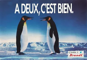 POSTAL Brandt Group•Publicidad•Pingüinos del Ártico•Arte publicitario vintage - Imagen 1 de 1