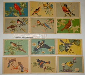 Cartoline Federazione Nazionale Faunistica Canzonieri #501 Lotto di 12 anni 30-50 - Foto 1 di 2