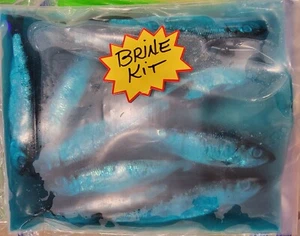 2 SHUR-CURE Shur-BrineKits: Sea Blue & Chartreuse fish Salmon halibut sturgeon - Picture 1 of 10