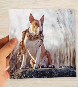 Tarjeta de cumpleaños Bull Terrier inglés traje papá mamá esposo pareja hermano abuelo - Imagen 1 de 10