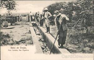 Argentina Prov. Cordoba Bano de Ovejas Postcard Vintage Post Card