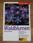 Waldblumen. Die wichtigen Blütenpflanzen in Laub-, Nadel-, Bergwald. Kremer, B.