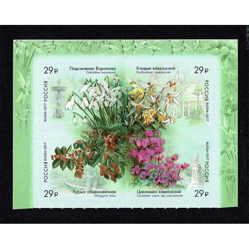 FR1914 - 2017 Russia Theme Flowers Block MNH - Image 1 of 1