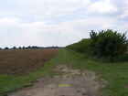 Photo 12X8 Bridleway To Low Farm Dallinghoo Off Wood Lane C2011