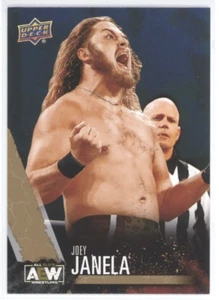 Joey Janela 2021 Upper Deck AEW Wrestling Base #12 Gold Parallel - Bild 1 von 2