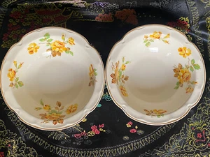 JOHNSON BROS. England "Pareek"  6” Cereal Bowl  Yellow Roses Set Of 2 - Picture 1 of 5