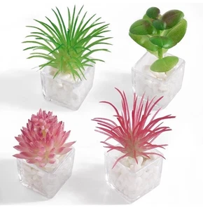 4 Stück Sukkulenten Pflanze Kühlschrank Spind Magnete Niedlich 3D Deko Küche Schule - Bild 1 von 9