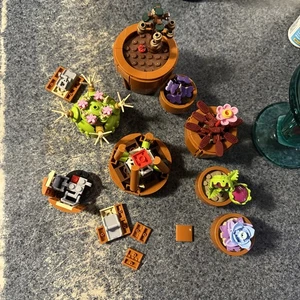 Lego Botanicals Topfsukkulenten - Bild 1 von 5