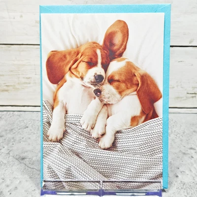 Hallmark Anniversary Greeting Card 5x7 For Couple Puppies Sleeping Cutest - Image 1 of 4