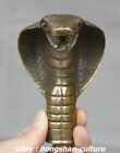 3,5 pouces bronze Feng Shui zodiaque tête de serpent animal canne statue