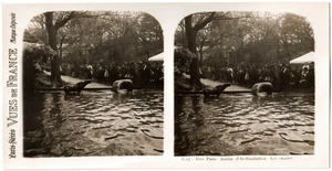 Paris.Jardin d'Acclimatation.Les Otaries.Photo Paris Stereo.Vue de France.1900. - Picture 1 of 1