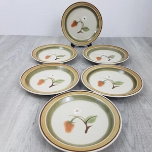 Hallkraft Wilde Erdbeere * 6er Set * Salatteller 8" Potterskraft - Bild 1 von 7