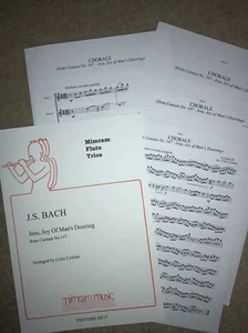 Jesu, Joy Of Mans Desiring By Bach For Flute Trio - Picture 1 of 4