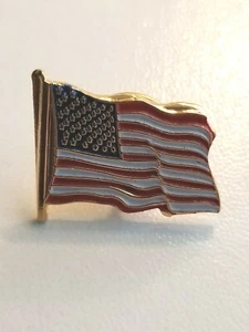 AMERICAN FLAG COMMEMORATIVE PIN - Picture 1 of 1