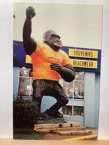 Bozo il Gorilla, Negozio di T-Shirt di Pedro: Sud del Confine, SC Cartolina d’epoca - Foto 1 di 3