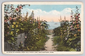 Hollyhock Lane mit Blick auf Hafen und Meer - Provincetown Mass Cape Cod - Bild 1 von 2