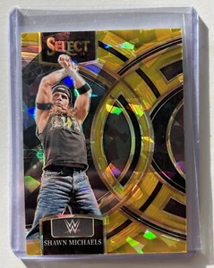 Shawn Michaels Premier Gold Cracked Ice 7/10 WWE 2024 Panini Select HBK SSP - Bild 1 von 4