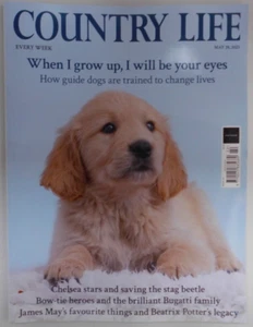 Country Life magazine 28th May 2025 How guide Dogs are trained to change lives - Picture 1 of 1