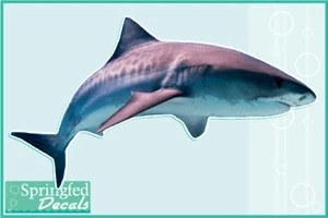 TIGER SHARK Vinyl Decal #1 Car Truck Shark Diving Decal - Picture 1 of 1