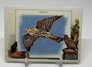 2023 Topps Allen & Ginters Talonted #TT-10 - Merlin - Picture 1 of 2