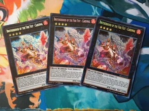 Yu-Gi-Oh 3X Brotherhood of the Fire Fist - Cardinal MP14-EN031 Secret 1st Ed NM - Picture 1 of 7