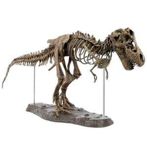 Tyrannosaurus Rex Ensamblaje Esqueleto Grande Dinosaurio Fósil Cráneo Animal Modelo Juguete - Imagen 1 de 13