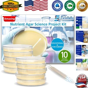 10 Ready-to-Use Nutrient Agar Plates Kit with eBook – Perfect Science Starter - Picture 1 of 10