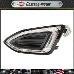 For 2015-2018 Ford Edge LED DRL Parking Light Bumper Fog Driving Lamp Left Side - Foto 1 di 12