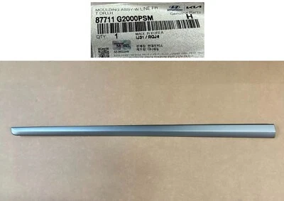 Moldura inferior puerta delantera 2017 a 2022 IONIQ lado del conductor izquierdo original plateado Foto 1 de 4