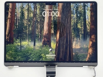 Original LCD Display MacBook Air 13" M2 2022, A2681, Bildschirm Silber #Apple - Bild 1 von 4