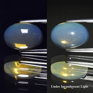 π 2.17ct Oval Cabochon Natural White Welo Opal - Color Flash, Ethiopia Gem - Picture 1 of 6