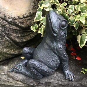 Gazing Frog Garden Ornament Figurine Sculpture  - Polyresin Indoor/Outdoor Gift