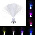 Colour Changing Fibre Optic Lamp Novelty Glacier Lite Lantern