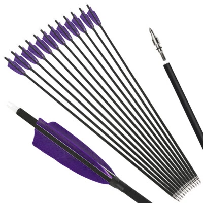 30'' Carbon Arrows SP500 4'' Turkey Feather Screw Broadheads Archery Bow Hunting - Image 1 of 4