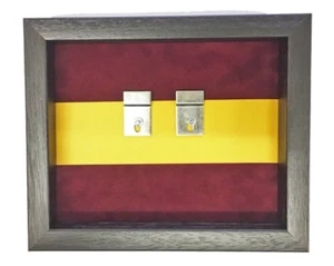 Worcestershire Regiment Medal Case. Black Frame - Picture 1 of 6