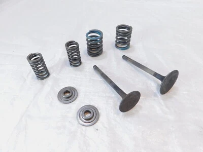 Yamaha Virago 750 XV750 1988-1997 culata admisión/escape válvulas y resortes Foto 1 de 4