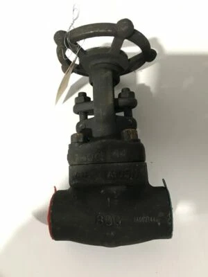 BSK A105 1" Threaded Manual Gate Shut-Off Valve 800 Class 136.2 bar - Image 1 of 4