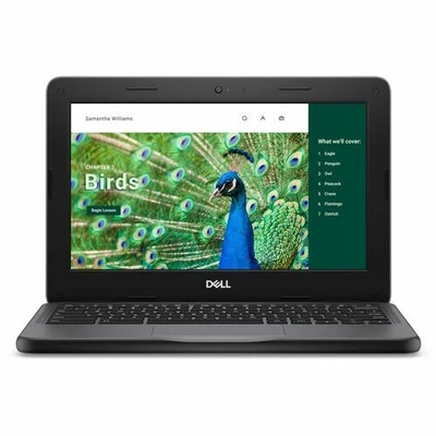 Dell Chromebook 3000 3120 11.6  Clamshell Chromebook - HD - 60 Hz - Intel N-Seri - Image 1 of 4