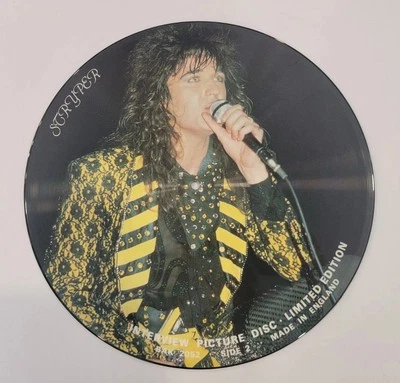 STRYPER Interview Picture Disc - RARE! Michael Sweet Vinyl Record - Image 1 of 2