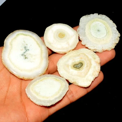 5 Pcs 509 Cts Natural Solar Quartz Druzy Loose Gemstone Lot 51x40 36x34mm #3539 - Image 1 of 4