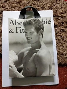 ABE PAPER BAG CARRIER ABERCROMBIE AND FIT  12 X 9 INS - Picture 1 of 2