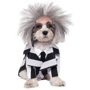 LAST ONE Beetlejuice Dog Costume Funny Pet Outfit Halloween Movie Puppy SZ XL - Picture 1 of 2