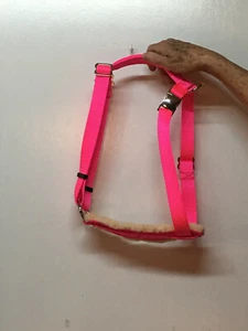 Gepolstertes verstellbares Schwein (Schwein) Geschirr mit passender Leine viele Farben Metallschnalle - Bild 1 von 3