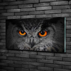 Glas-Bild Wandbilder Druck auf Glas 100x50 Deko Tiere Teufelsaugen Eule - Bild 1 von 6