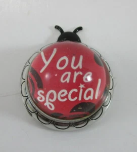 8KD you are special LUCKY LADYBUG CHARM FIGURINE Message Ganz - Picture 1 of 11