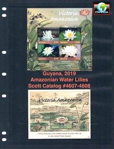 1/2 off $22.75 Scott Value - 2019 GUYANA Waterlilies 2 s/s Amazon MNH NH UMM - Picture 1 of 6