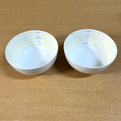 X2 Portion Control Bowl(s) Porcelain for Measuring, Bariatric Diet, Diabetes - Image 1 of 3