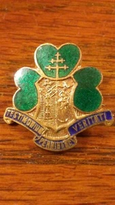 TESTIMONIUM PERHIBERE VERITATI - Patrizierkongress Vintage Abzeichen irische Pin - Bild 1 von 3