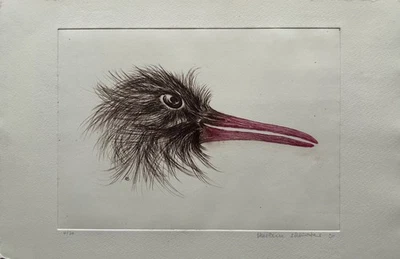 Radierung Tierporträt Vogelkopf Südstreifenkiwi 1991 Marlene Schlüter Hamburg - Bild 1 von 4